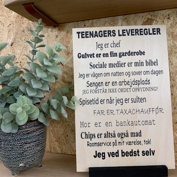 Træ skilt teenagers leveregler